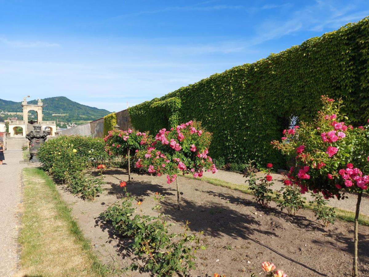 Apartments Rose Garden Decin Exterior photo